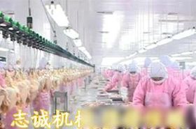 家禽飼養機械 現代化養殖的科技翅膀